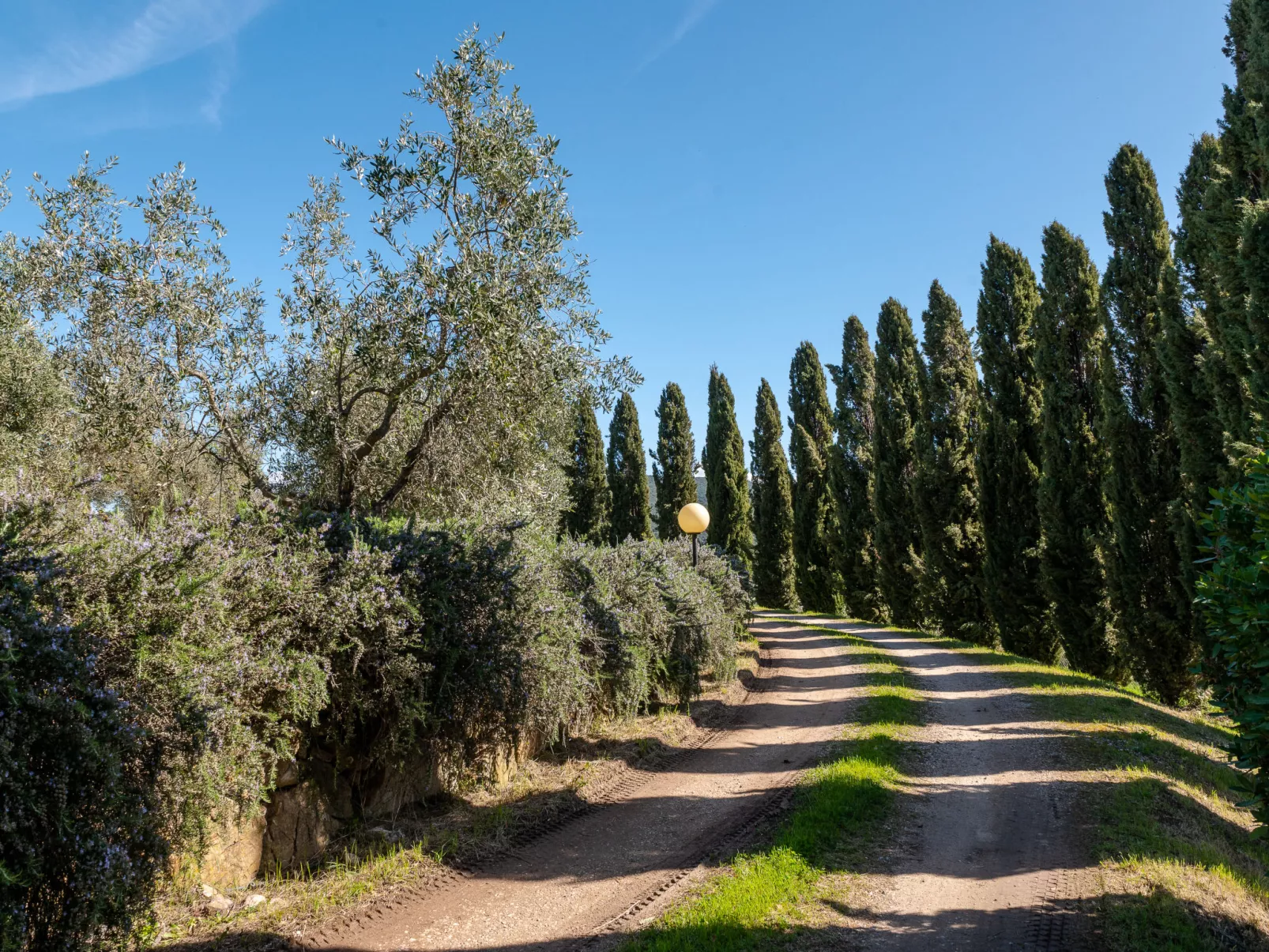 Villa Marsiliana-Outside