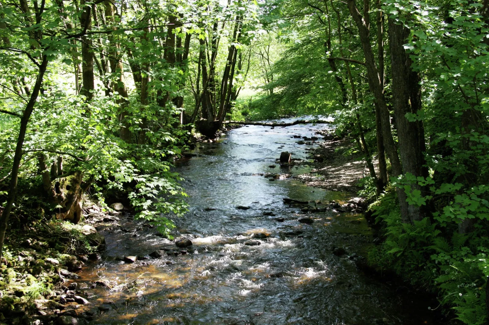 La Buse-Areas summer 20km
