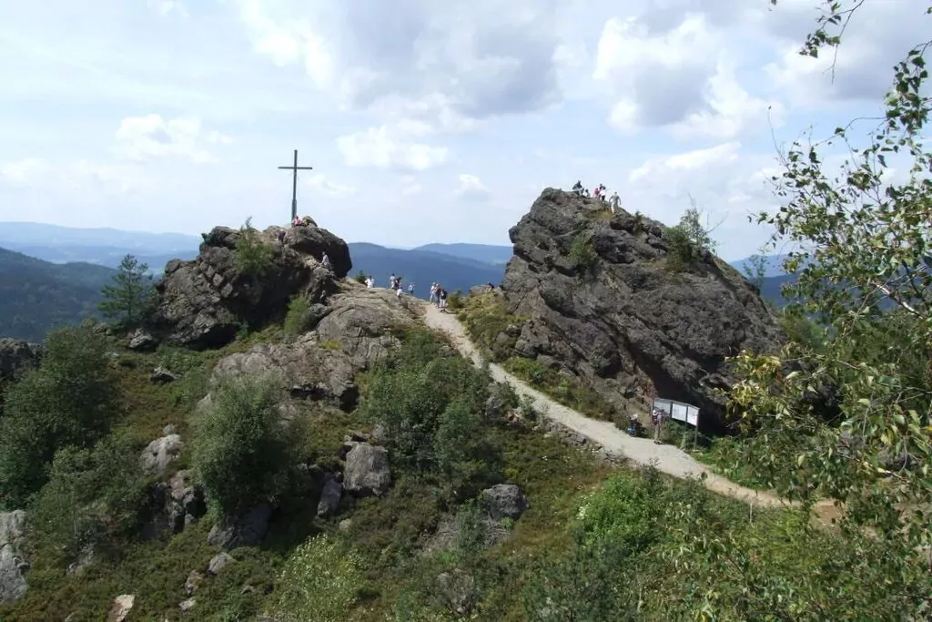 466835-Areas summer 5km