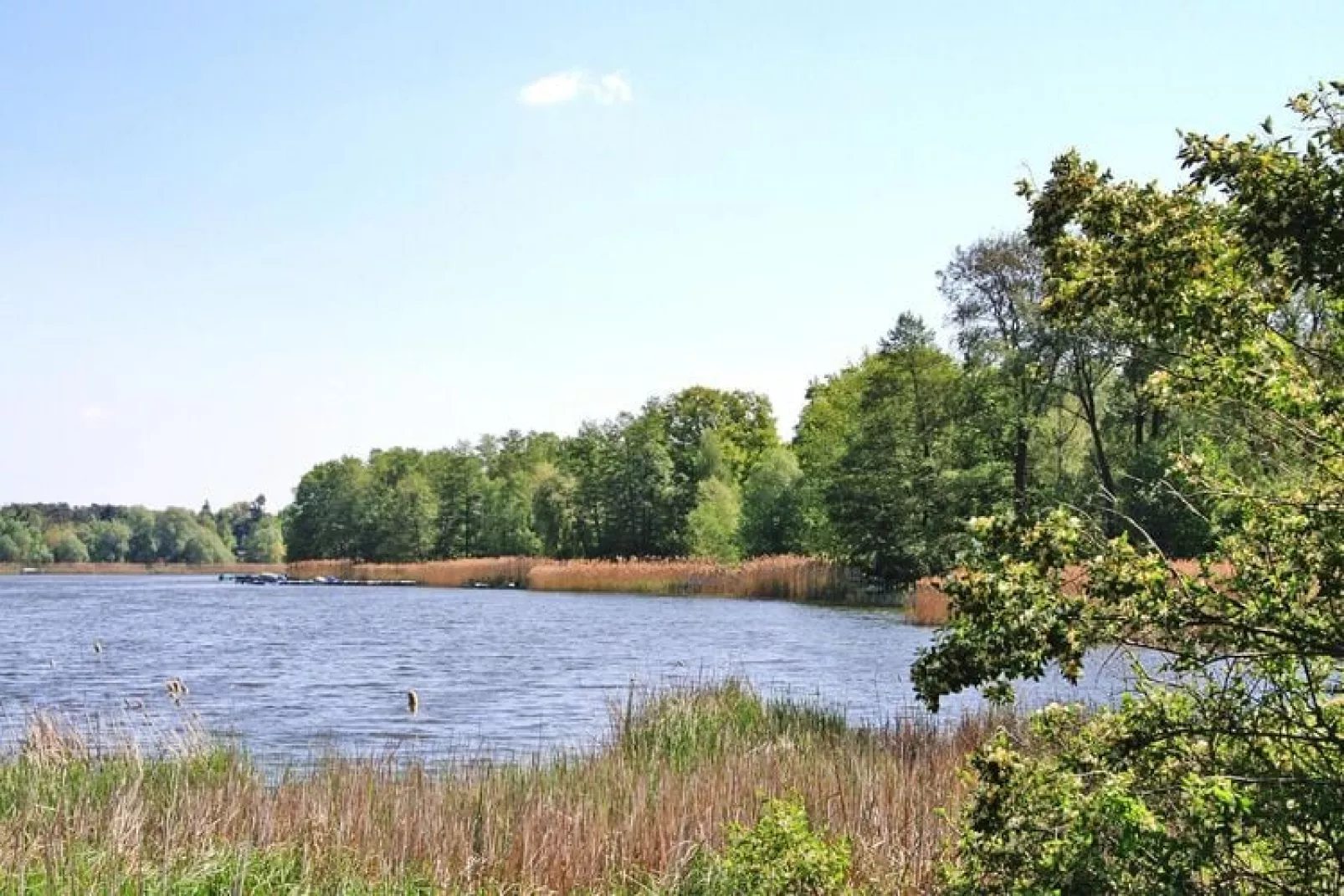 Unser Storchennest 2 Falkensee 42 qm-Water view