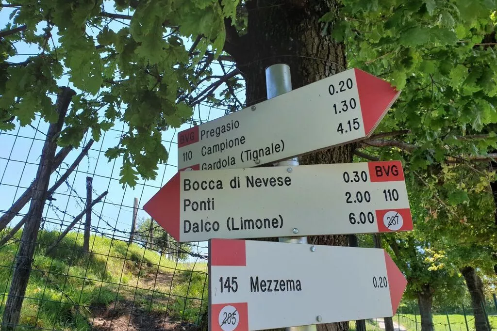 325636-Nicht getaggt