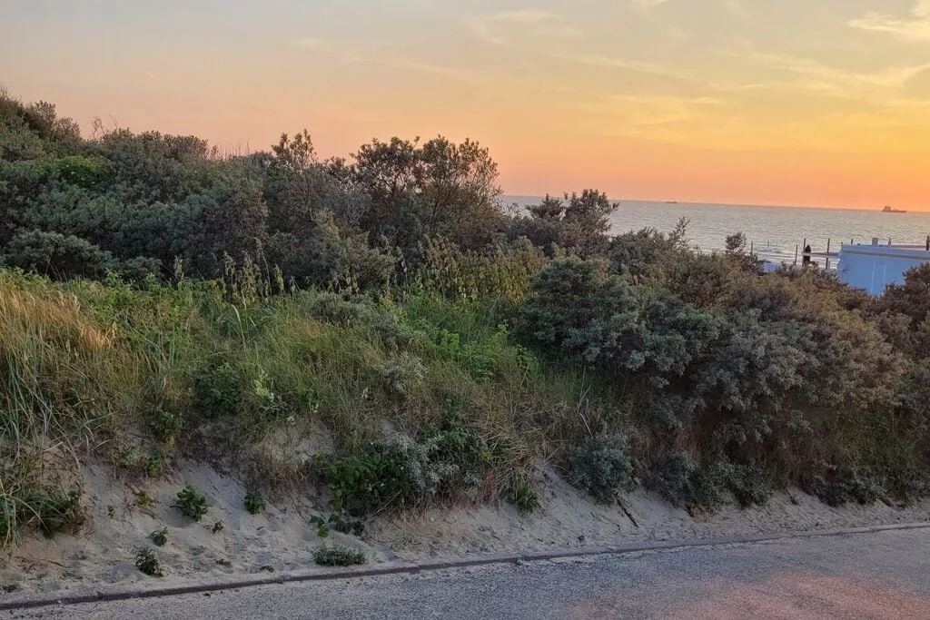 189972-Areas summer 5km