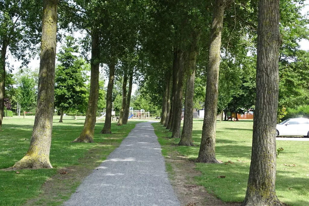 189972-Areas summer 5km