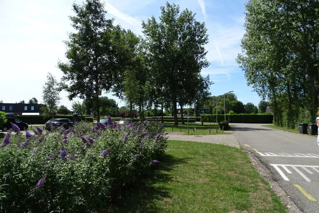189972-Areas summer 5km