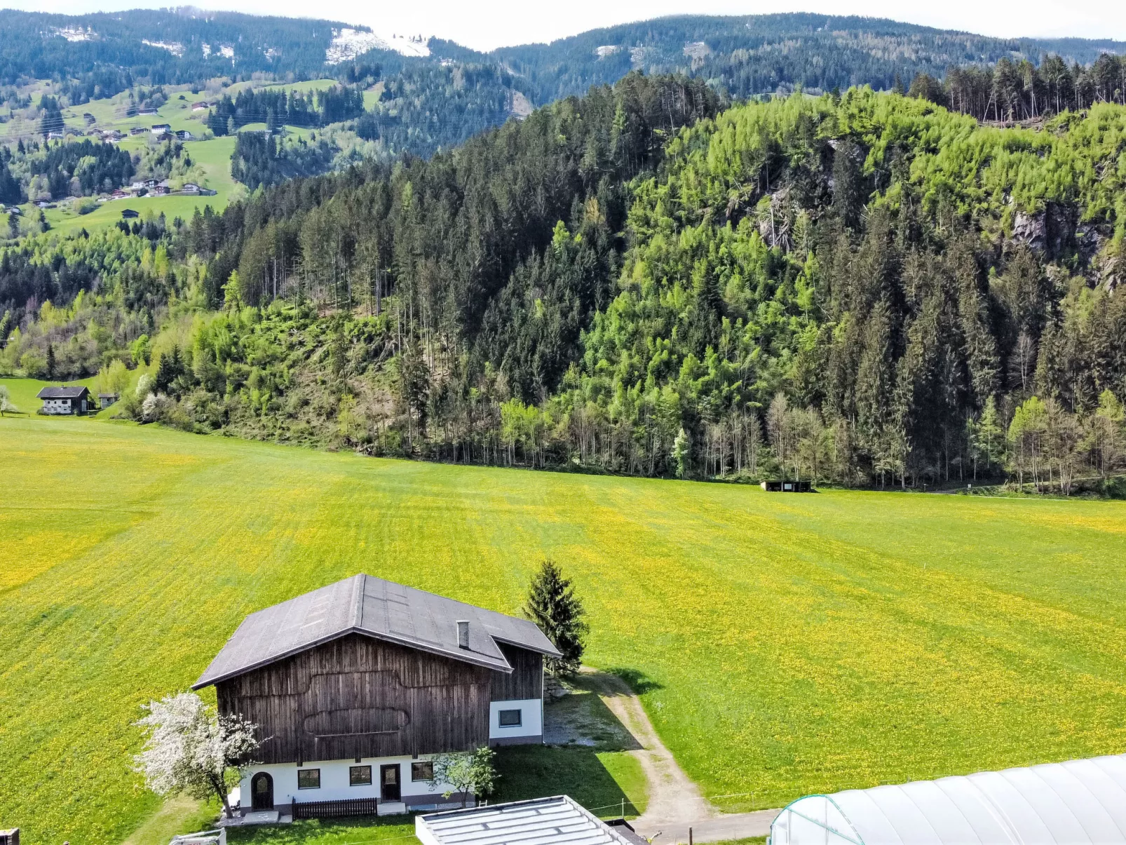 Apartment Wallischer Johann-Draußen