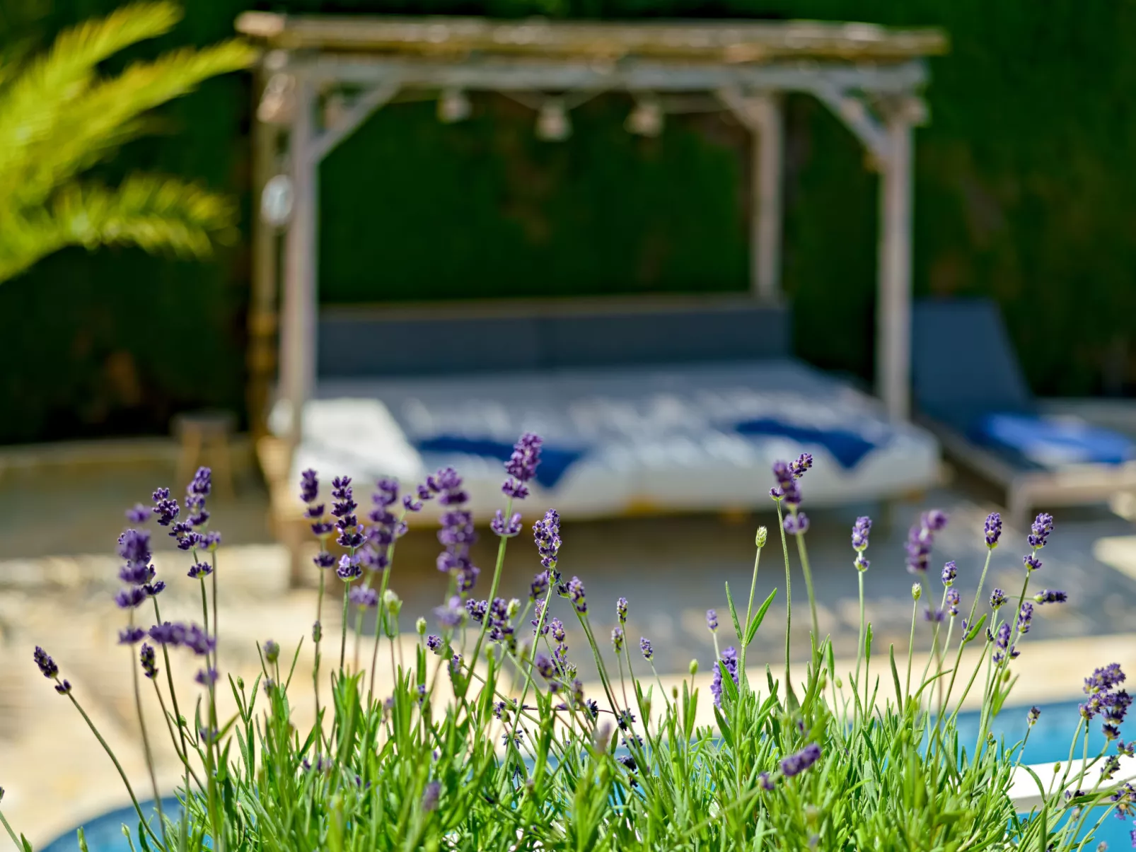 Villa La Colina-Outside