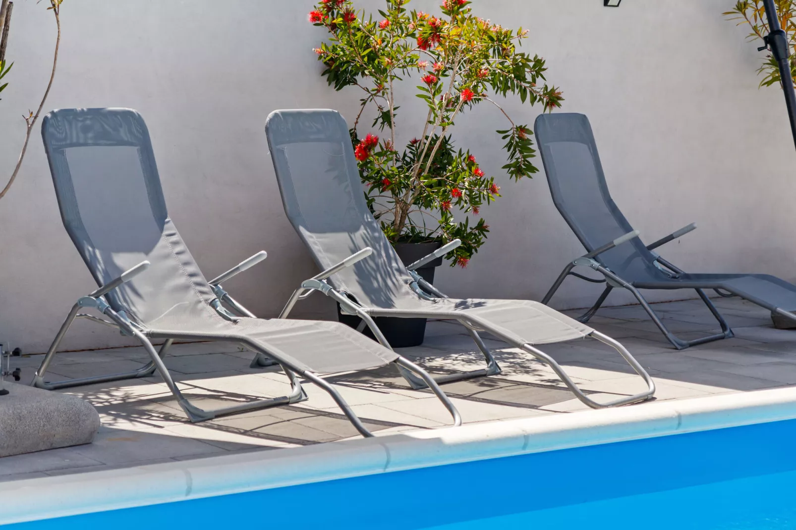 Holiday House Marin-Ambiente