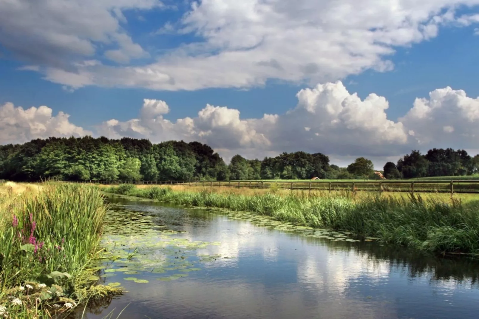 Vakantiecentrum 't Schuttenbelt 1-Areas summer 1km