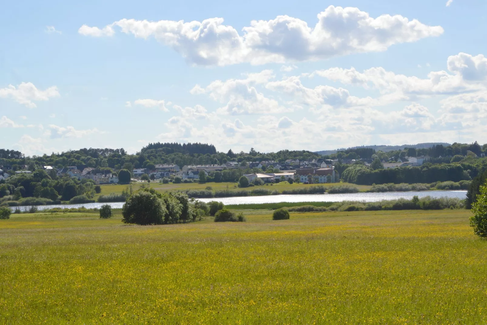 Andrea Wienpahl-Areas summer 5km