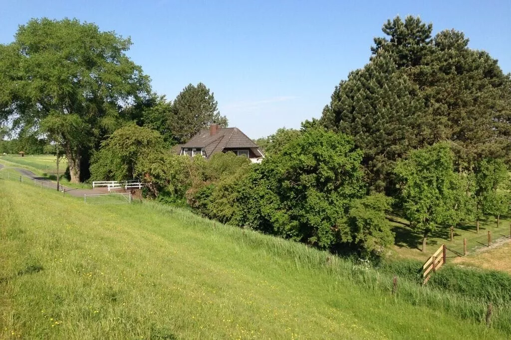 191412-Areas summer 5km