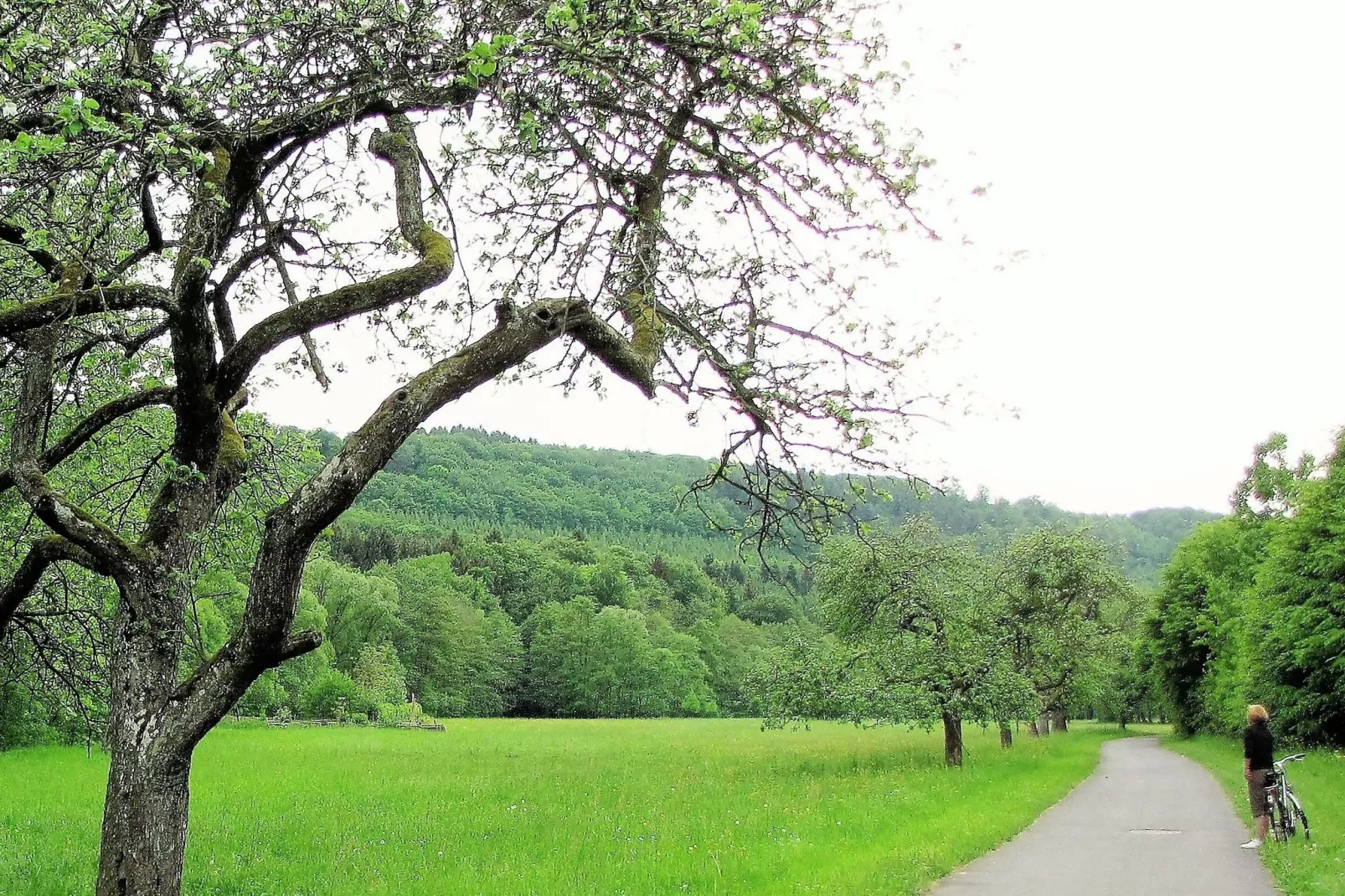 Andrea Wienpahl-Areas summer 20km