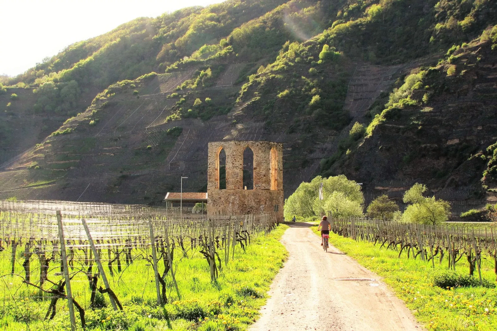 Andrea Wienpahl-Areas summer 20km