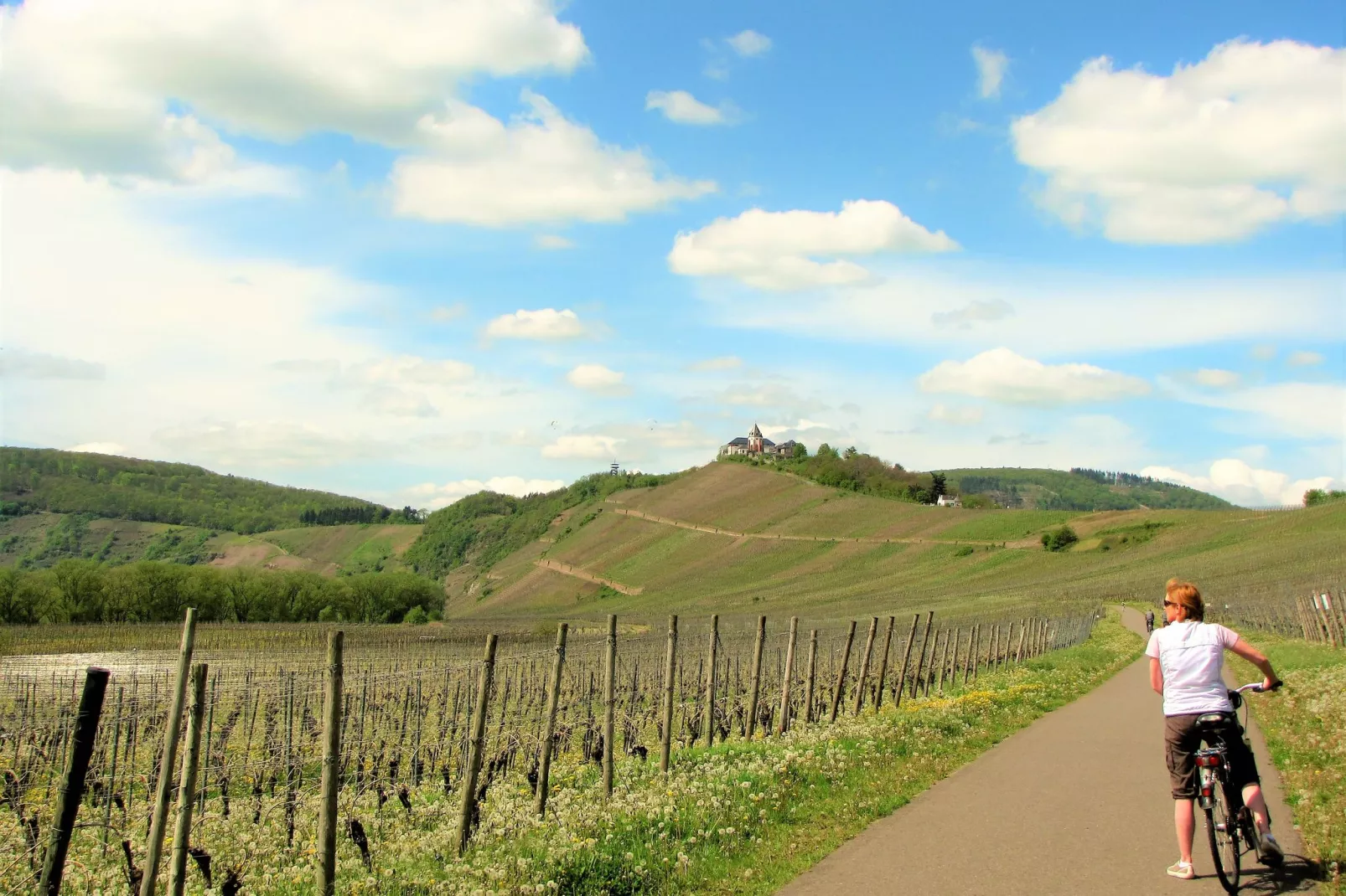 Andrea Wienpahl-Areas summer 20km