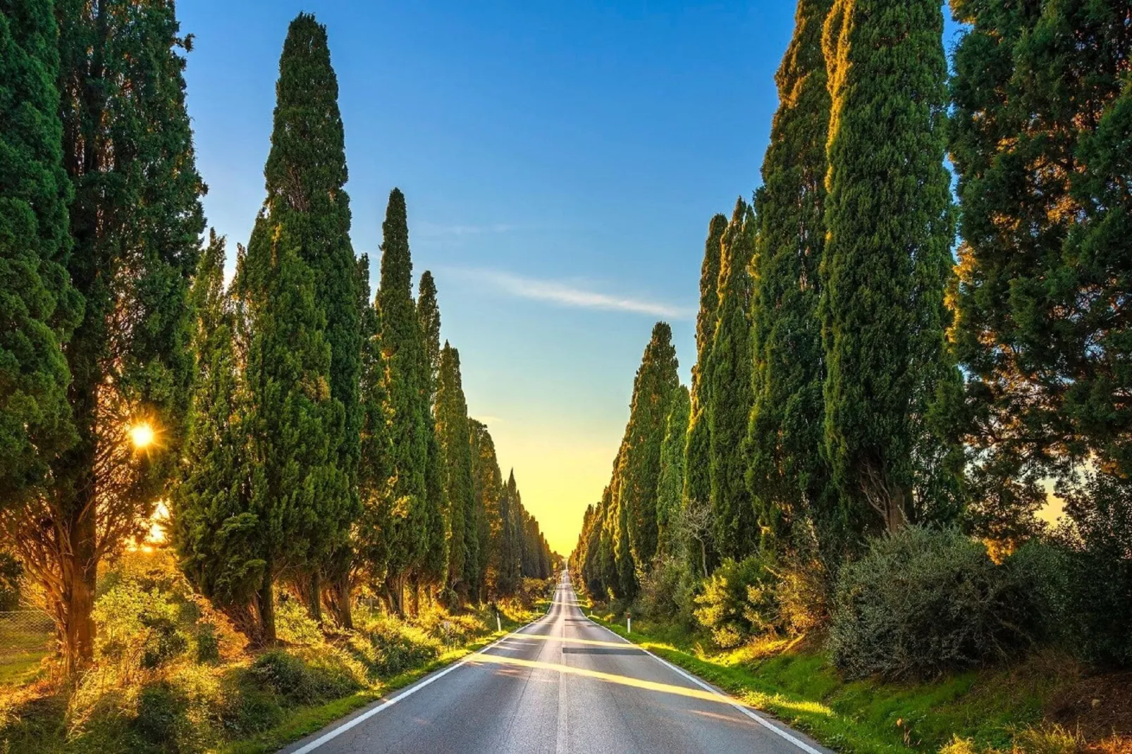 Monolocale-Areas summer 20km