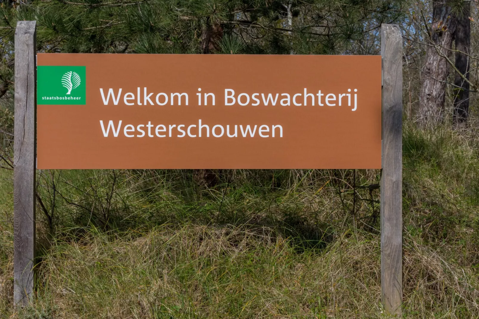 De Haaijmanweg 5  Burgh Haamstede 'Huisje 86'-Areas summer 1km
