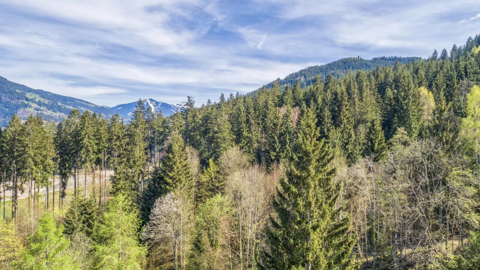 Im Brixental II-Gebiete Sommer 20 km