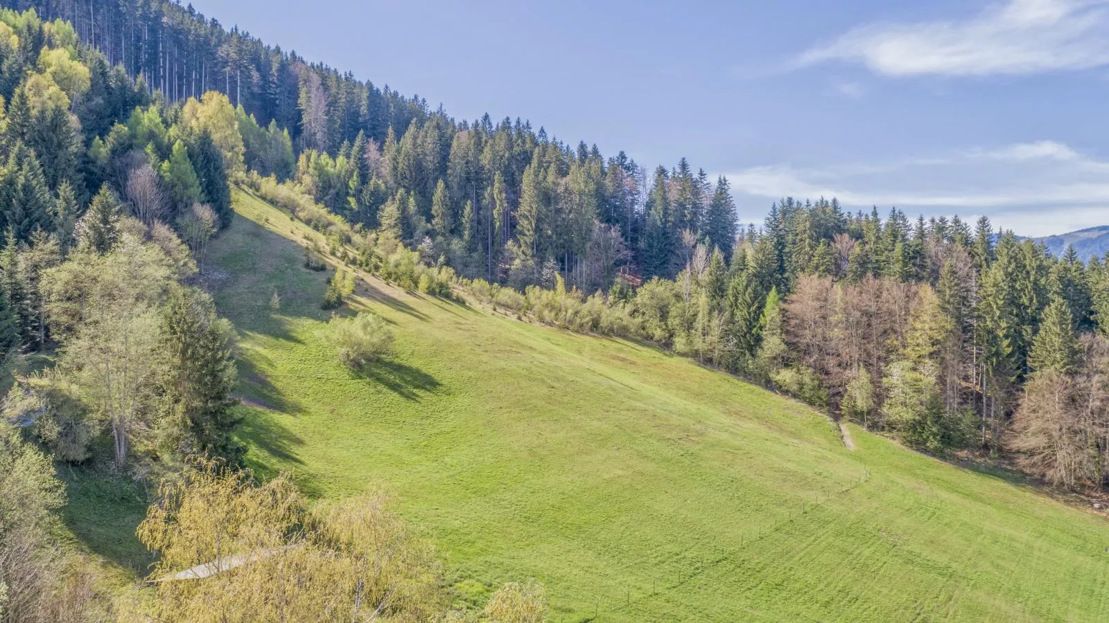 Im Brixental II-Gebiete Sommer 5 km