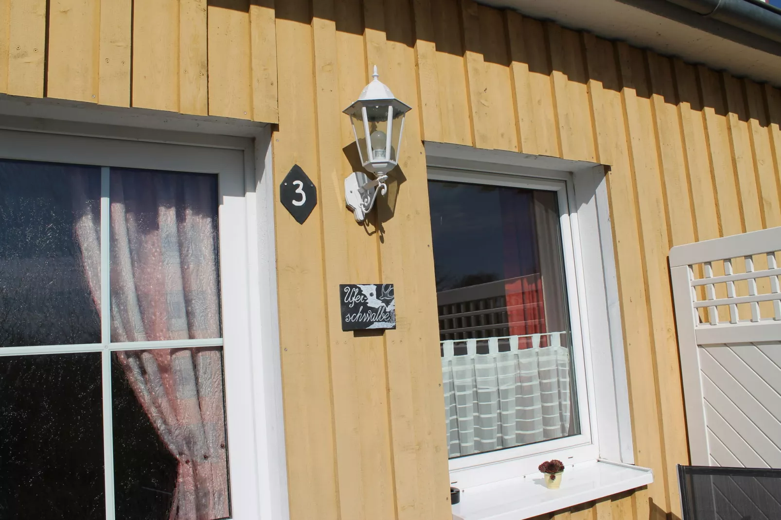 Uferschwalbe 3-Exterior summer