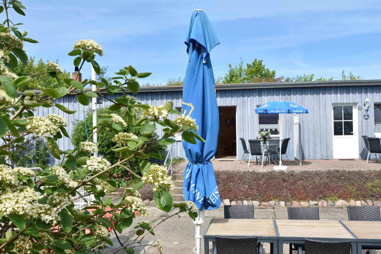 Uferschwalbe 3-Exterior summer