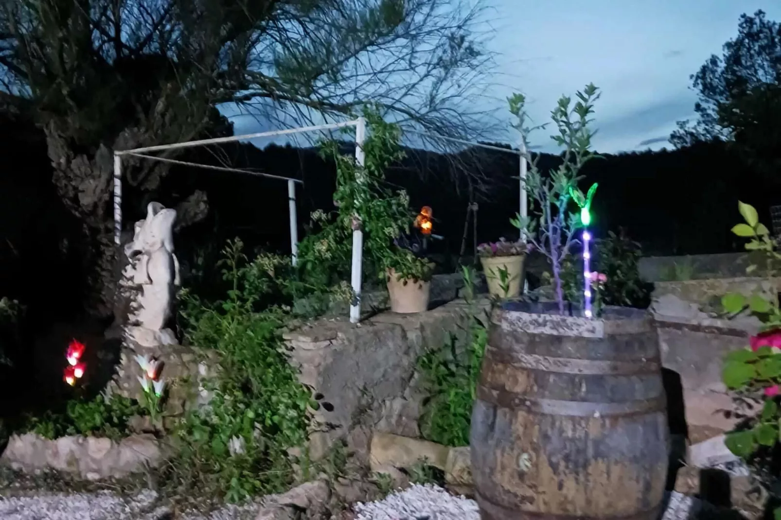 Mas Set Rengs-Gardens summer