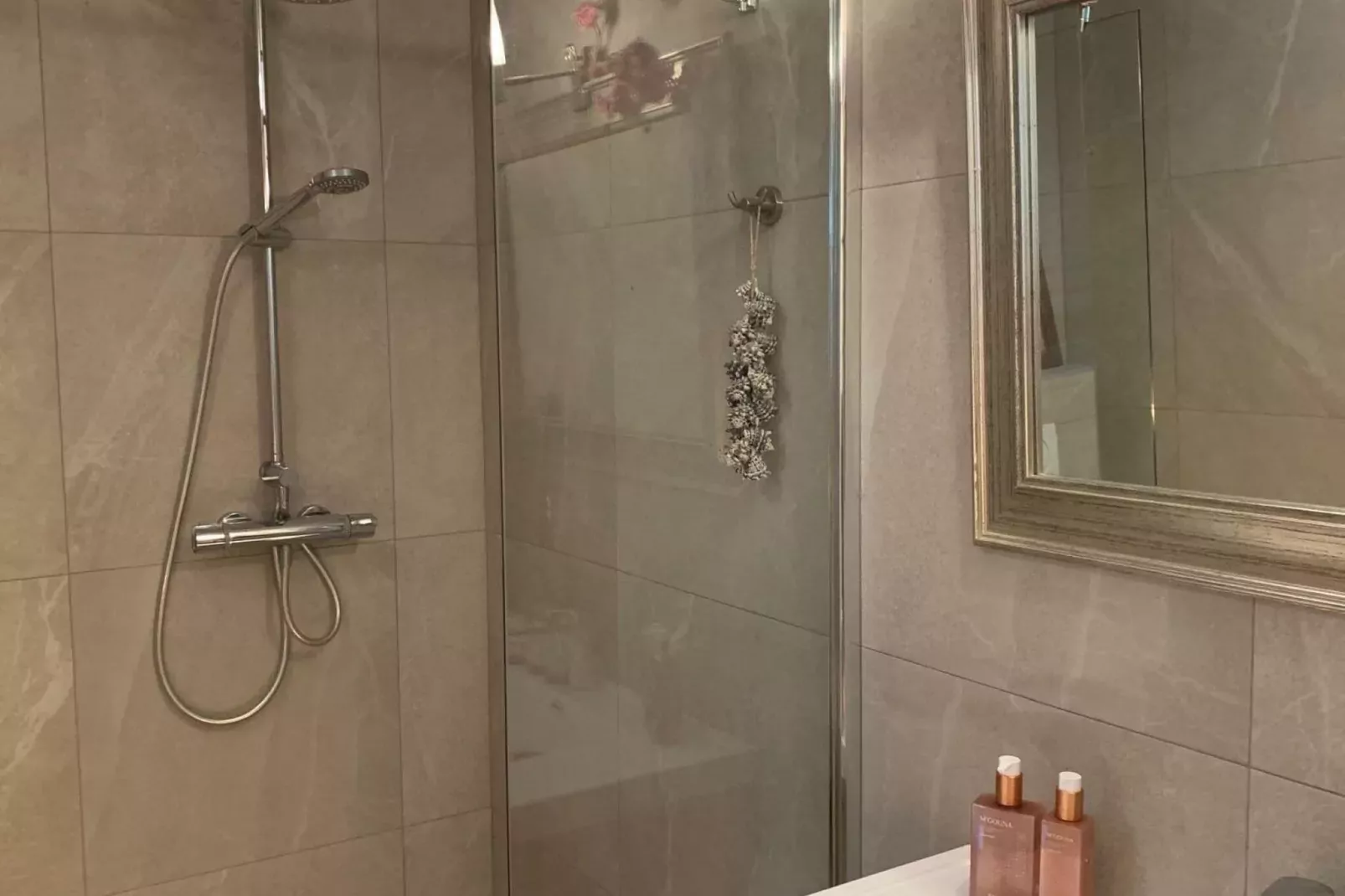 Ganzenmars-Bathroom
