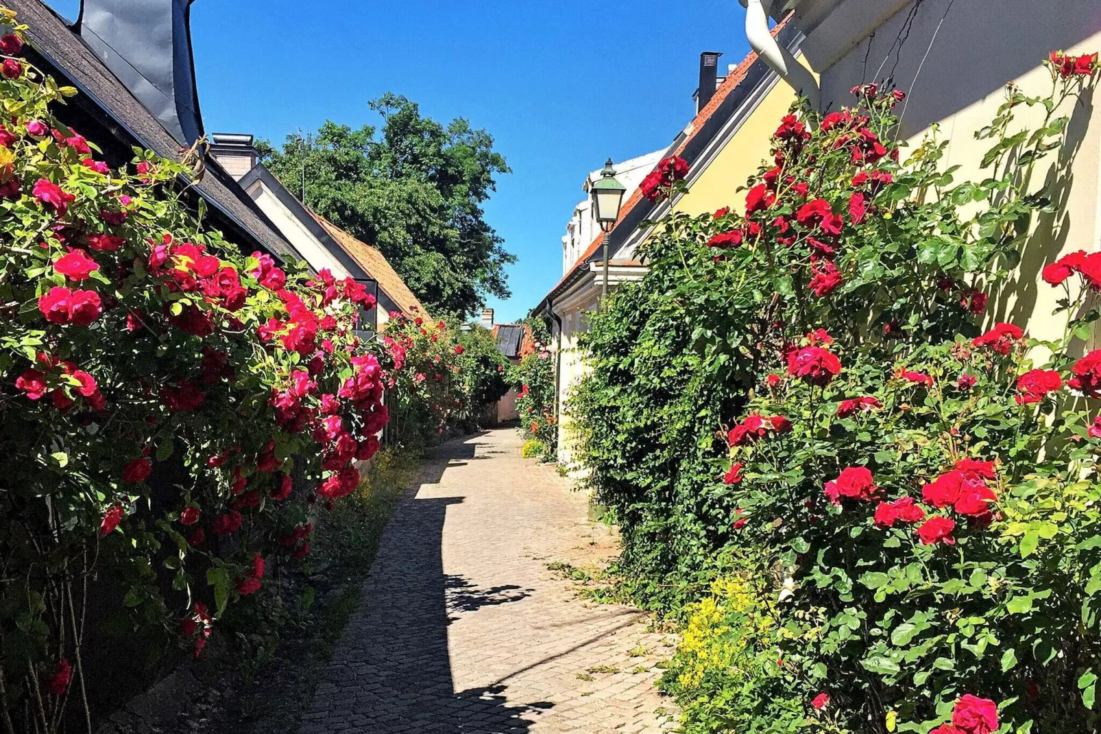 4 person holiday home in GOTLANDS.TOFTA-Not tagged