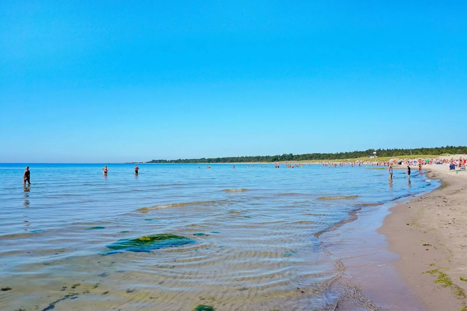 4 person holiday home in GOTLANDS.TOFTA-Not tagged