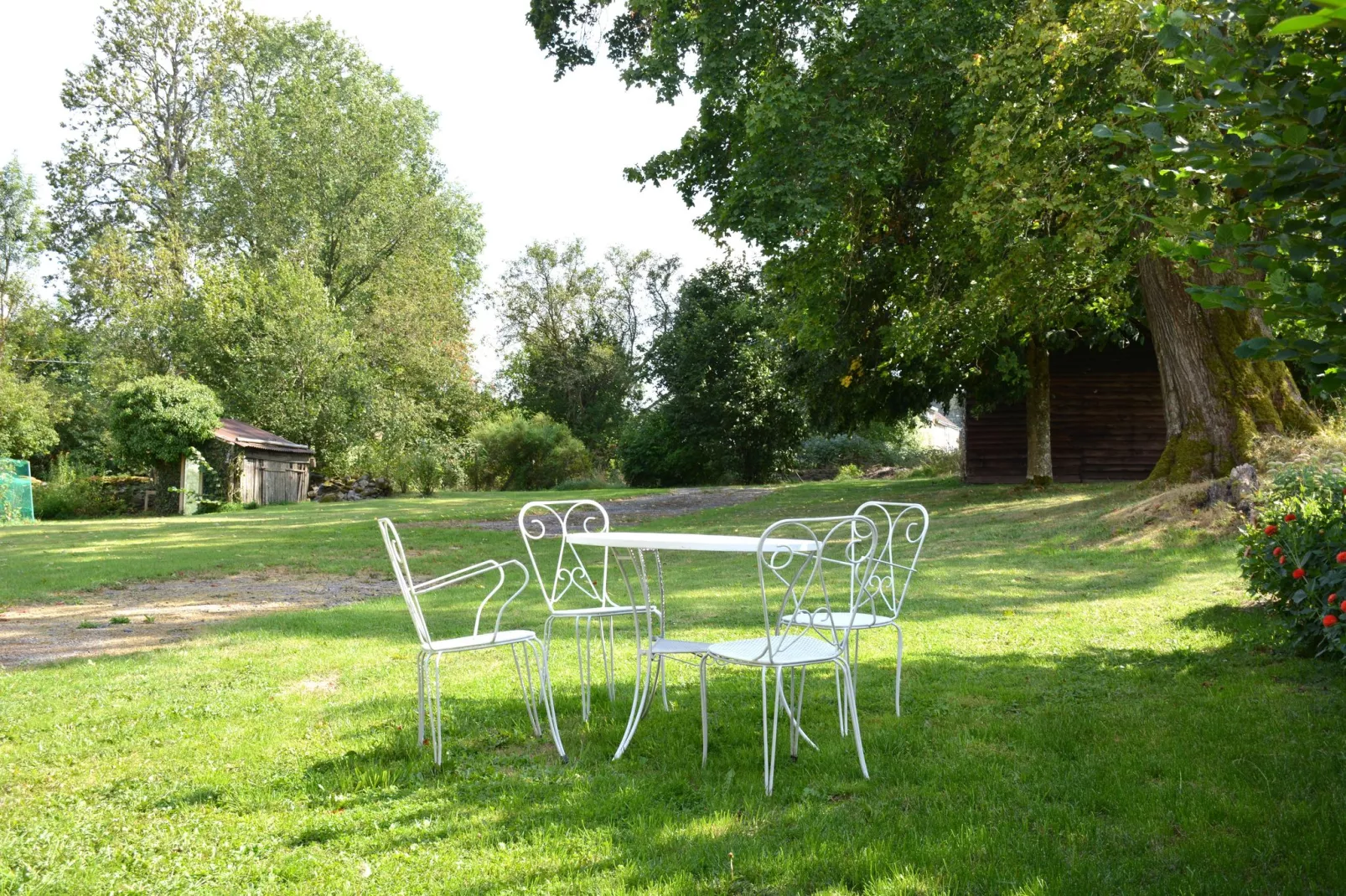 Le vieil érable-Gardens summer