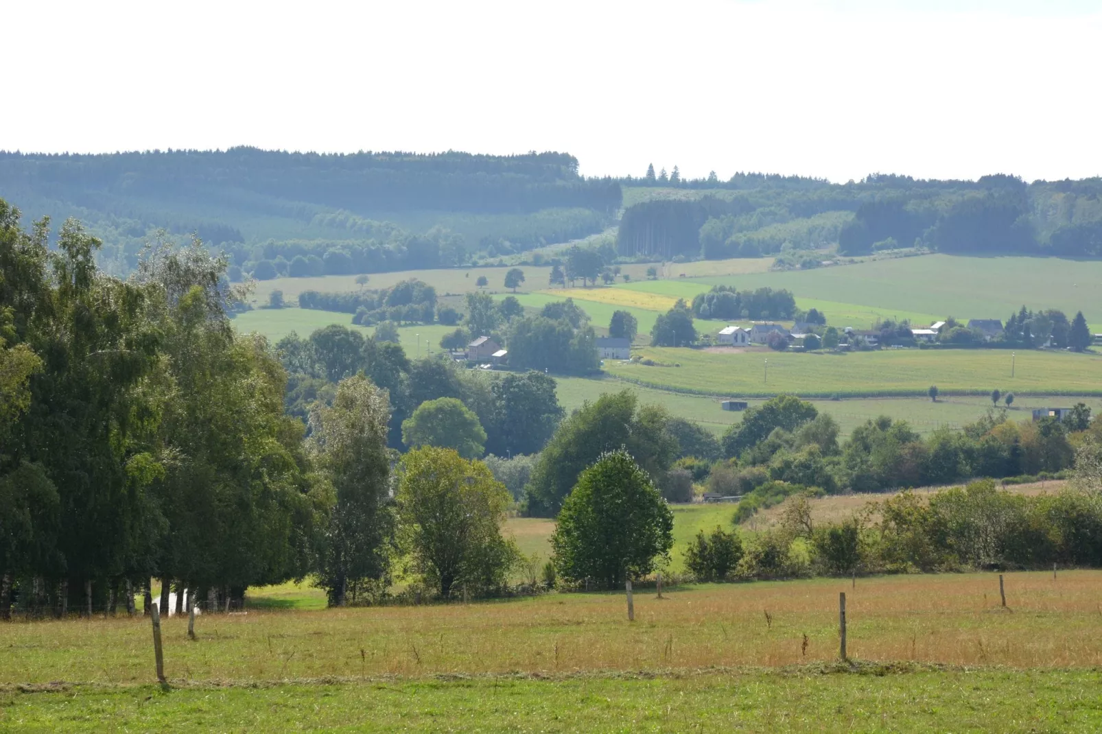 Le vieil érable-Areas summer 1km