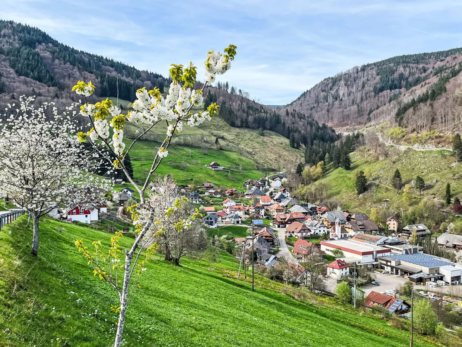Sonnenblick III-Area