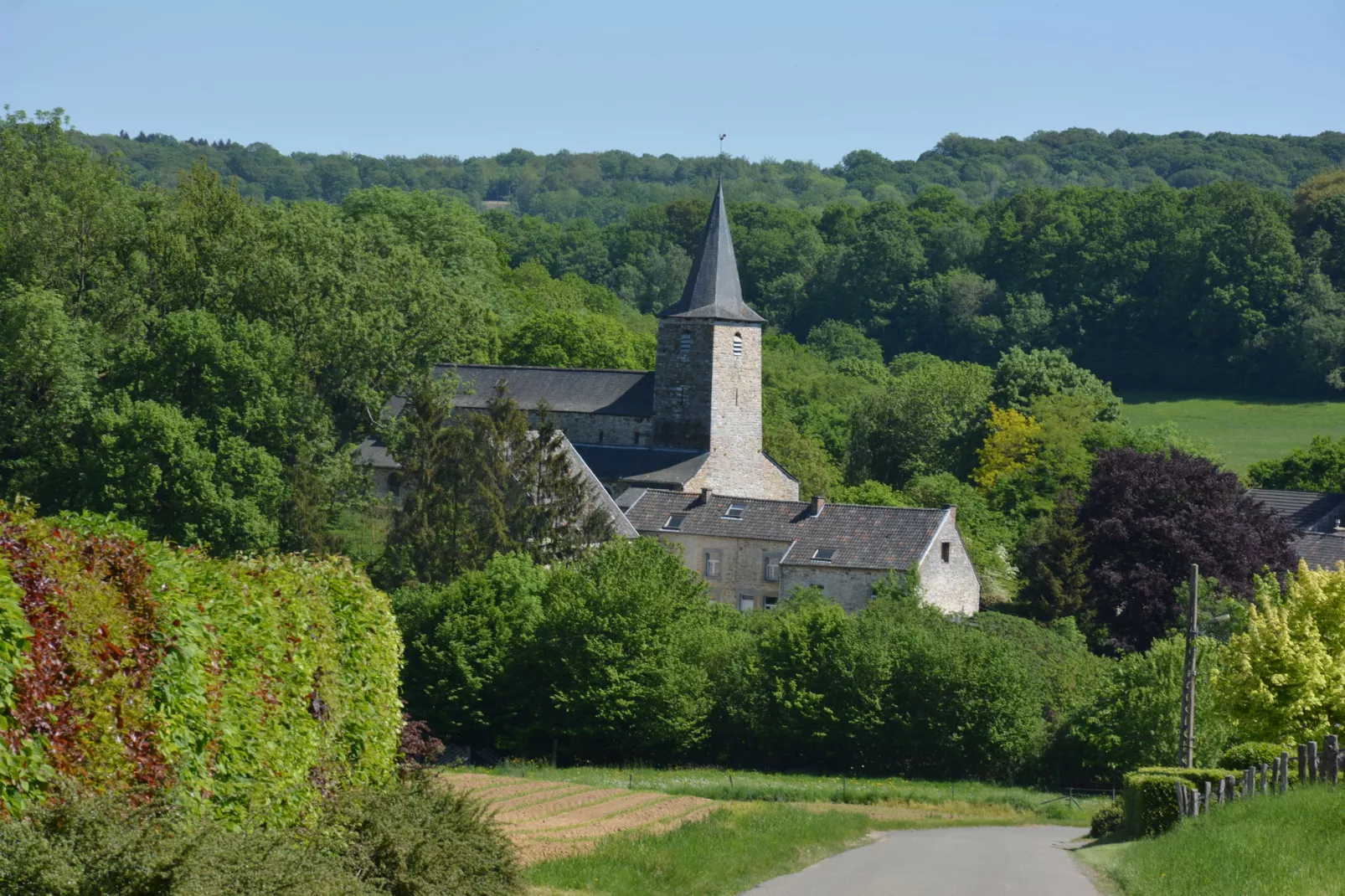 Le vieil érable-Areas summer 20km