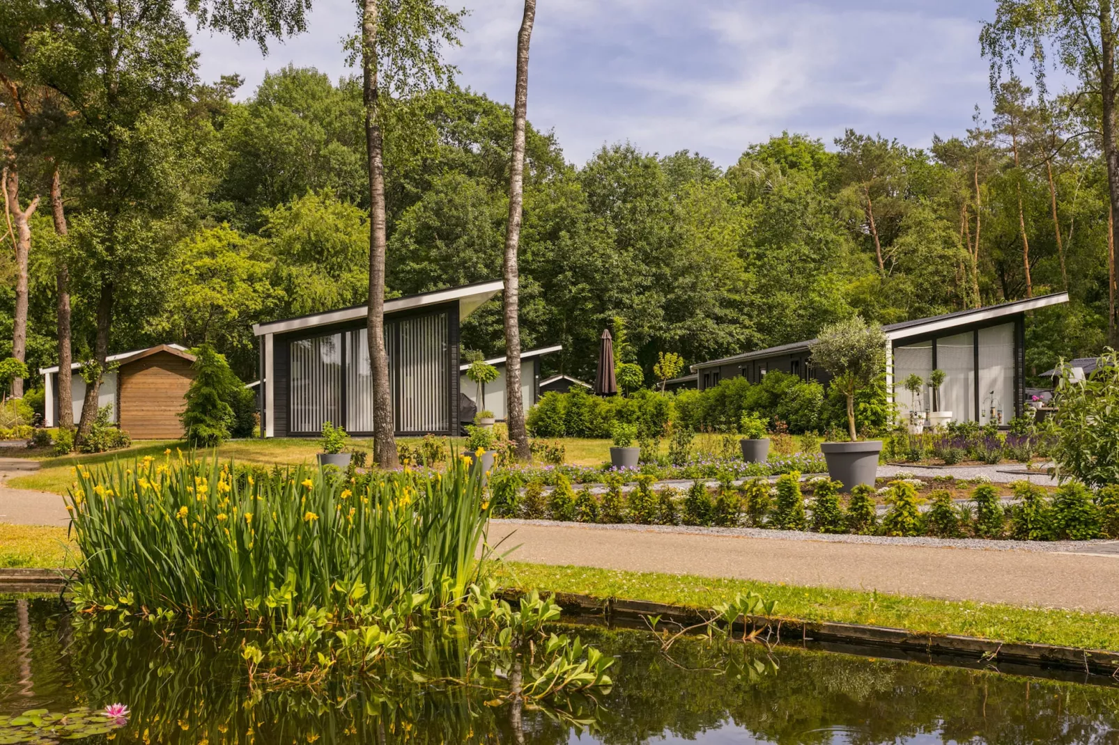 Bospark Markelo 1-Gebiete Sommer 1 km
