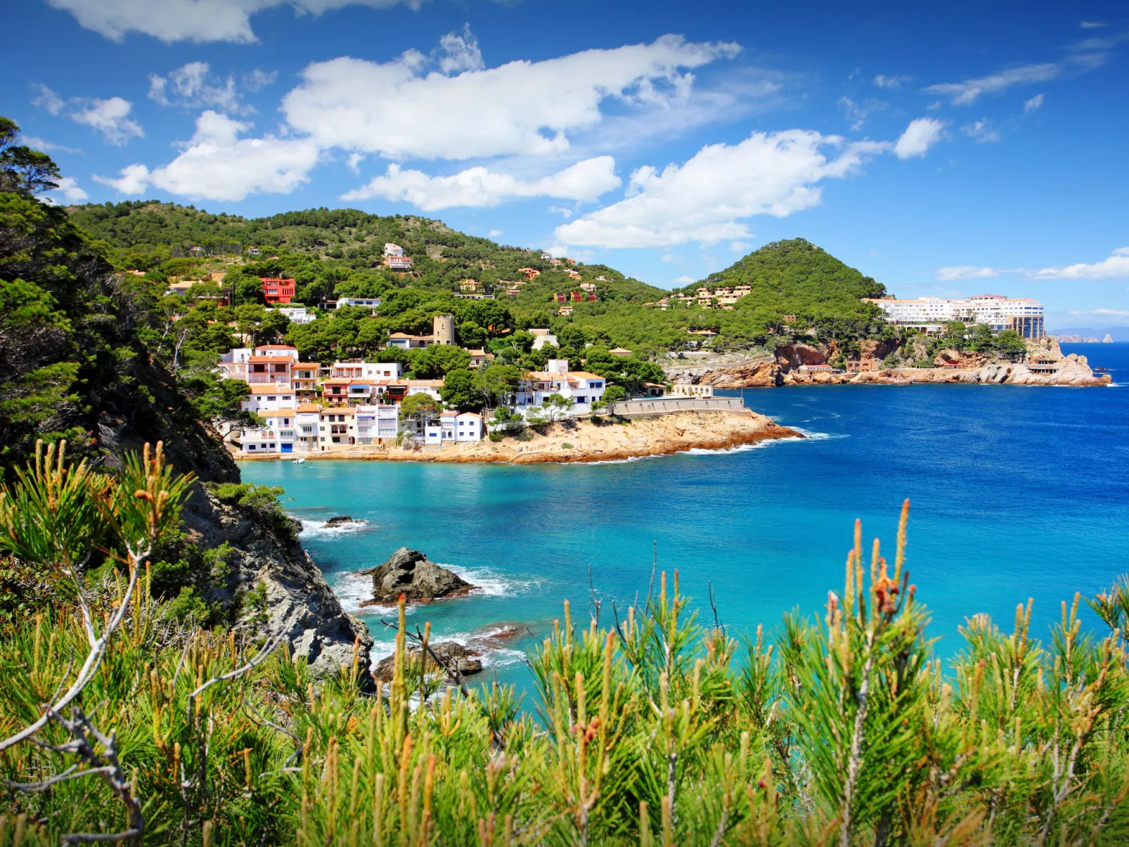 Sa Riera White on the Beach-Area