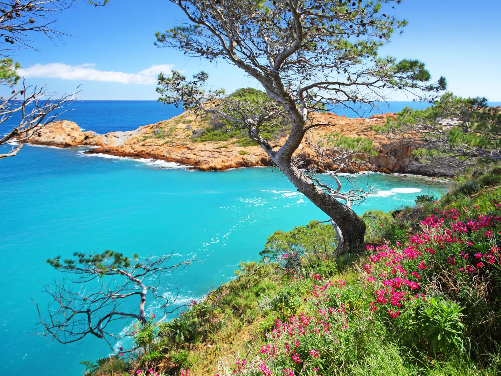 Sa Riera White on the Beach-Area