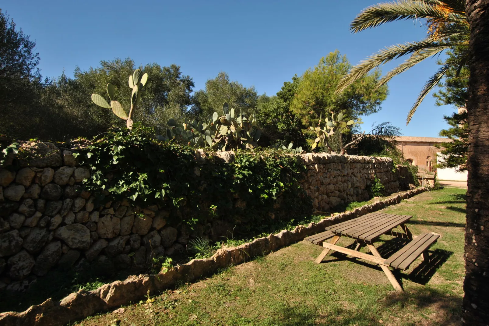 Possesió Sa Barrala-Gardens summer