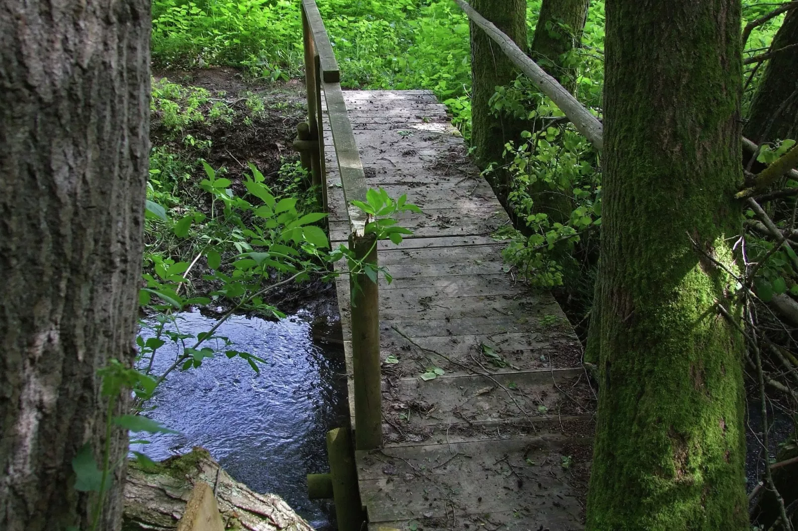 Kaifenheimer Mühle 1-Areas summer 1km