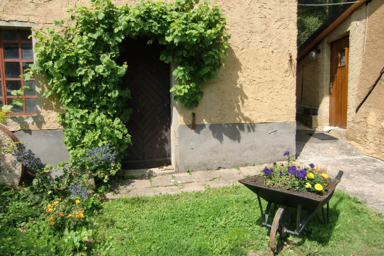 Kaifenheimer Mühle 2-Gardens summer