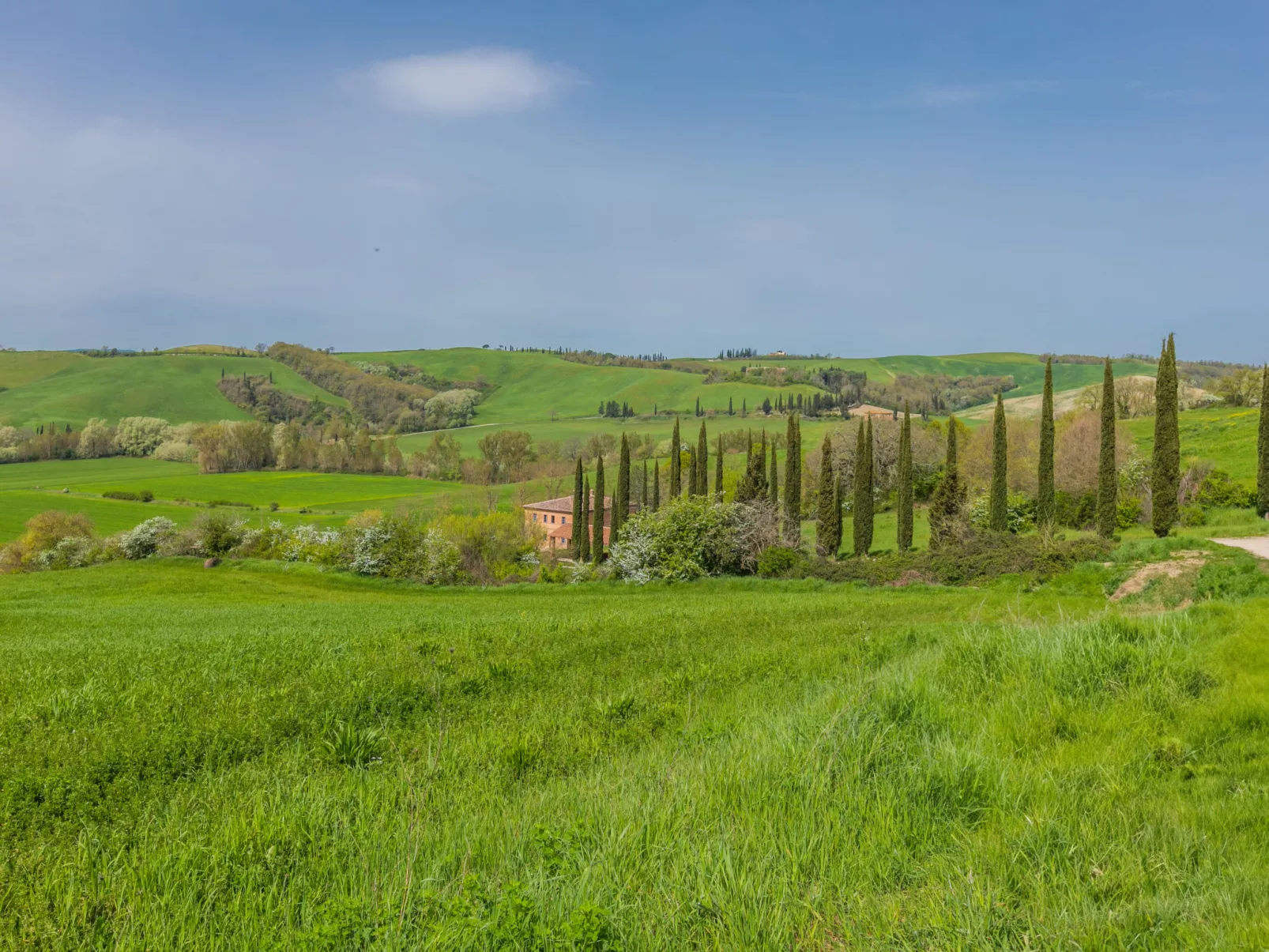 Podere Vetricella-Outside