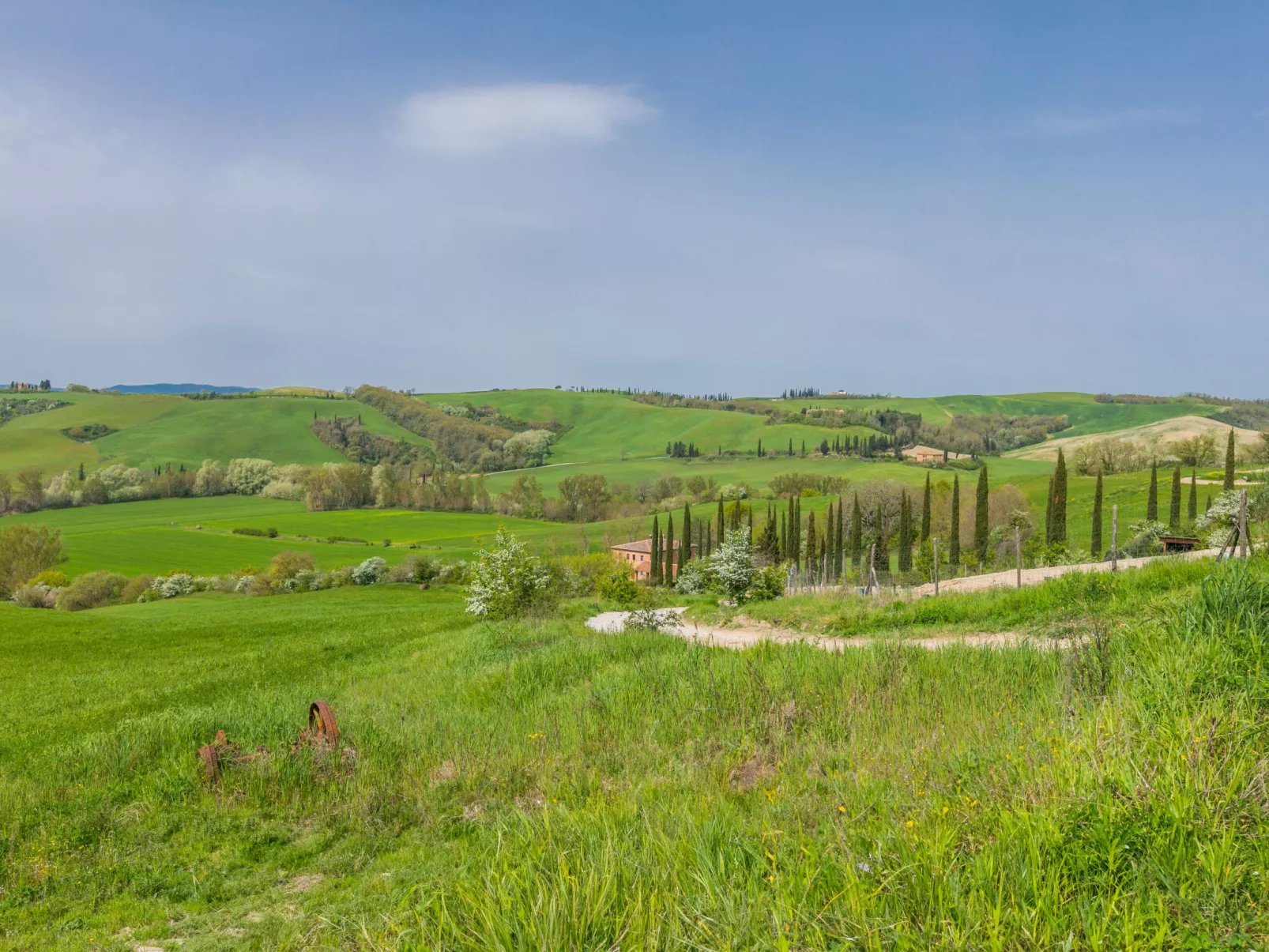 Podere Vetricella-Outside