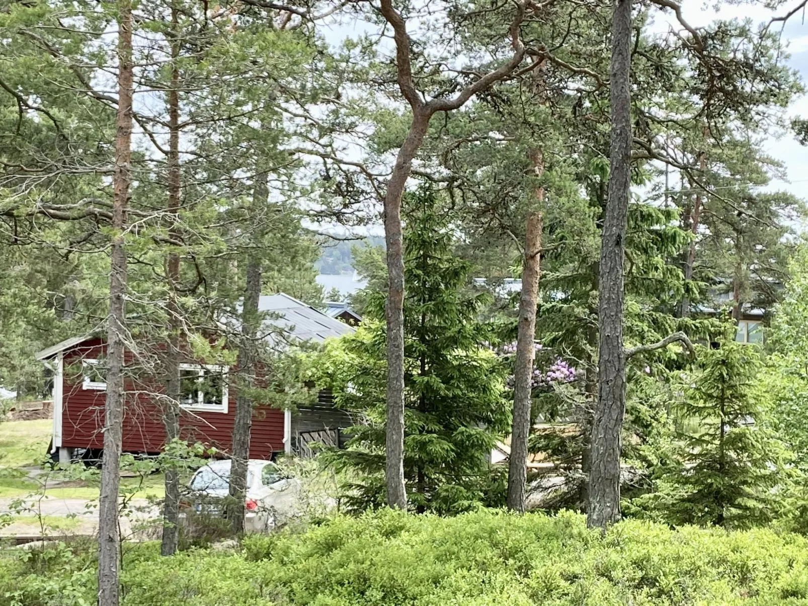 Smultronstället-Outside