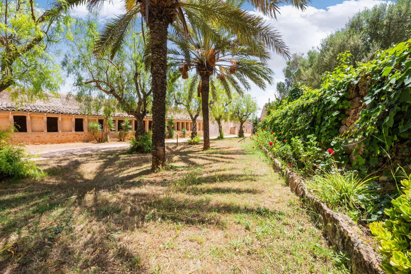 Casa del Señor-Gardens summer