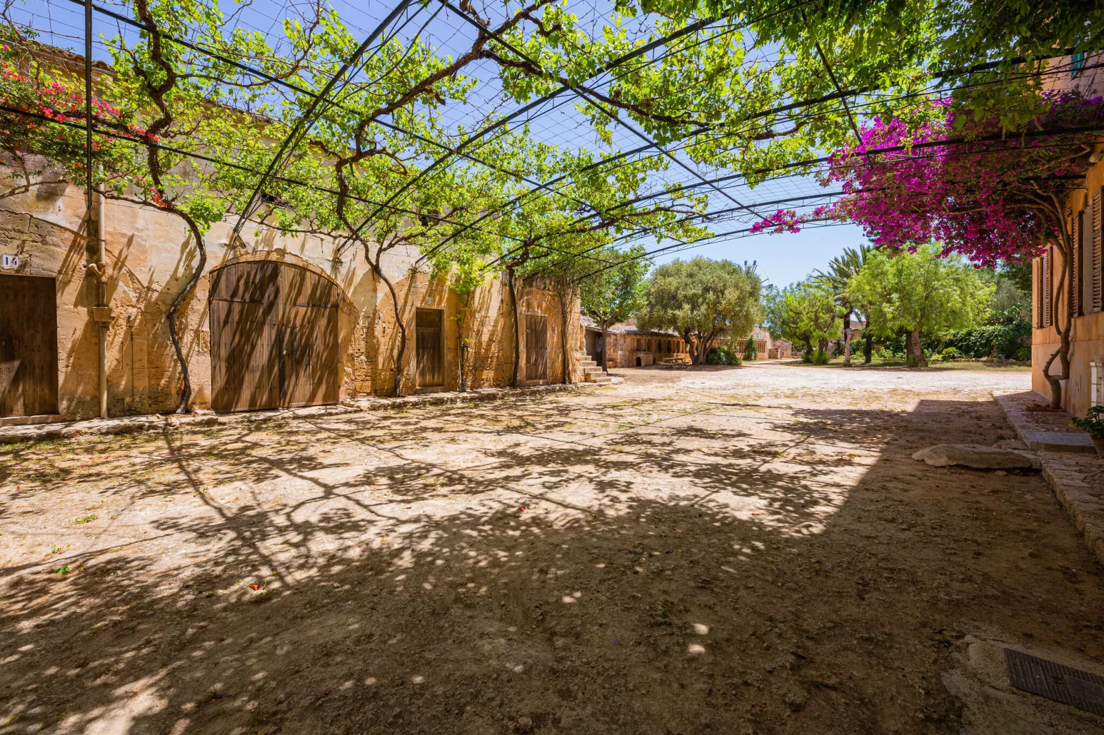 Casa del Señor-View summer