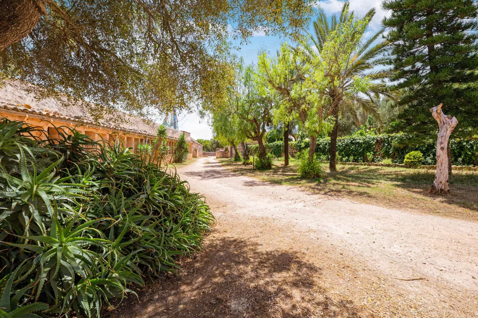 Casa del Señor-Areas summer 1km