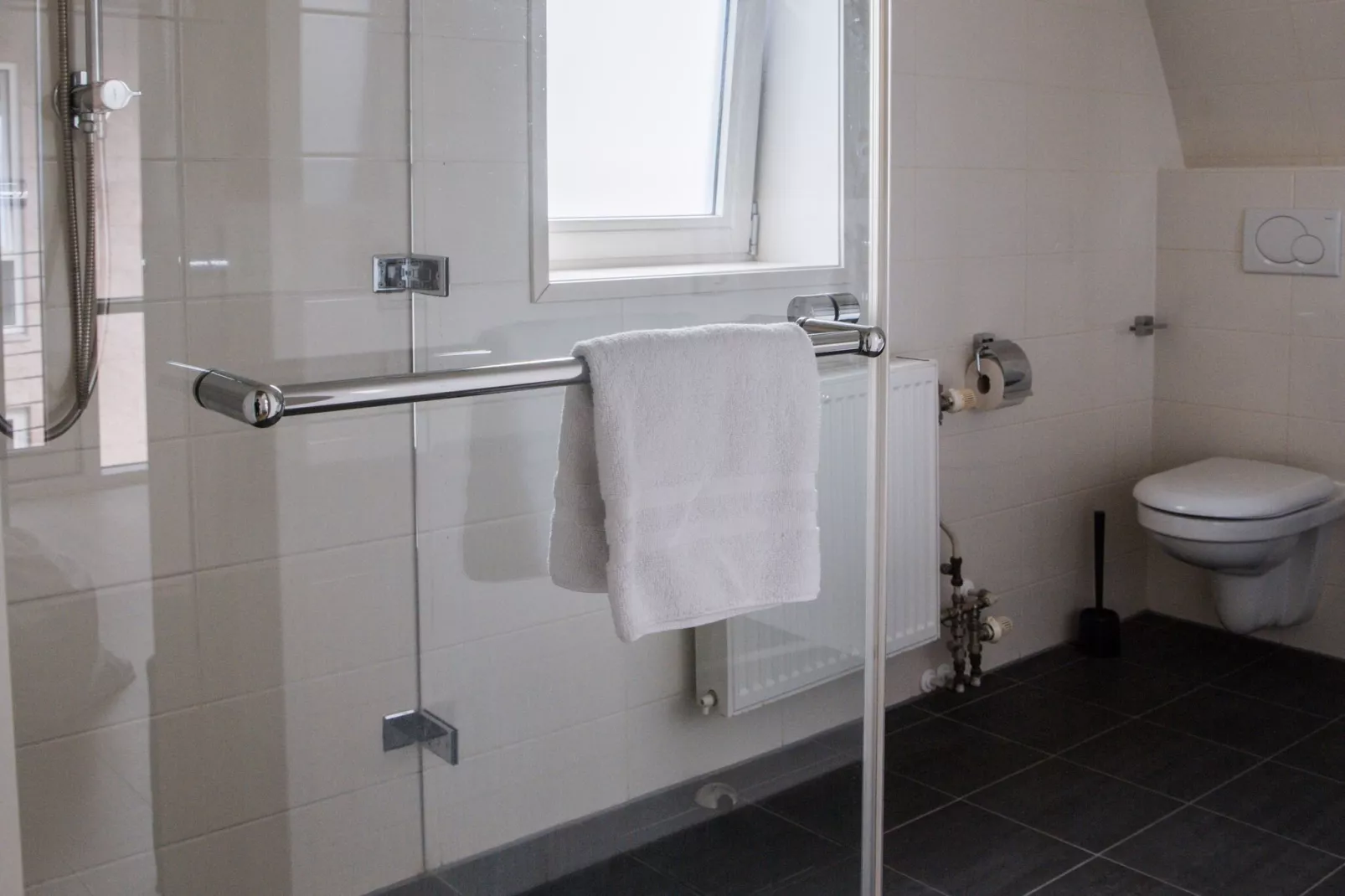 De ZeeParel Sea Life-Bathroom
