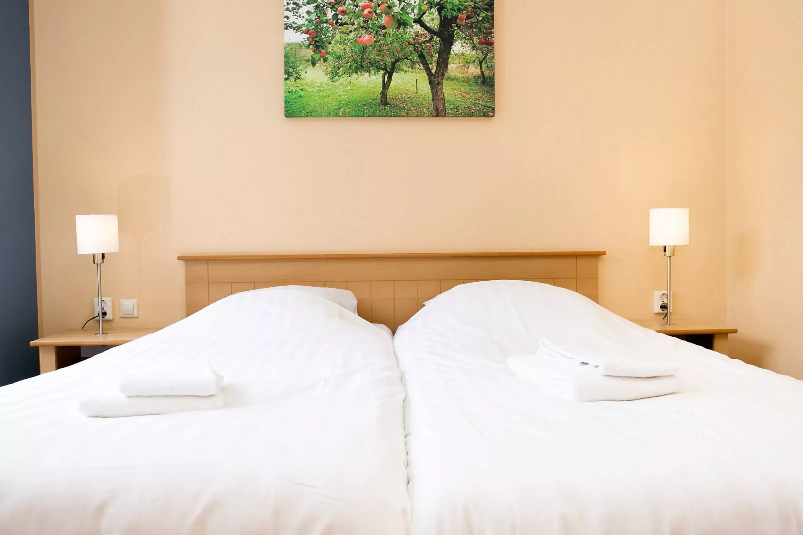 Comfort bungalow – max 4 personen – Nummer 84-Schlafzimmer