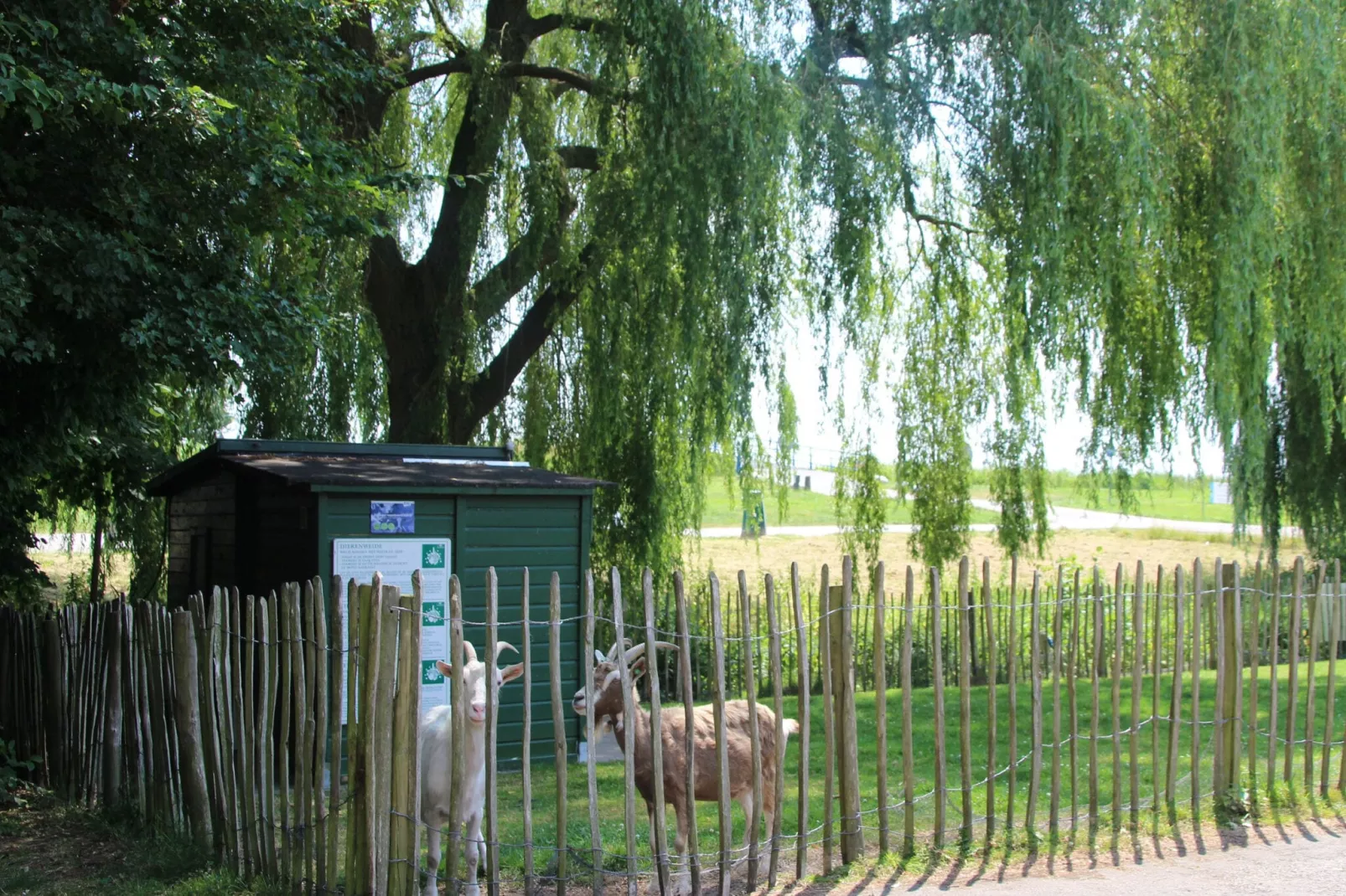 6 pers Welness huis 16-Areas summer 1km