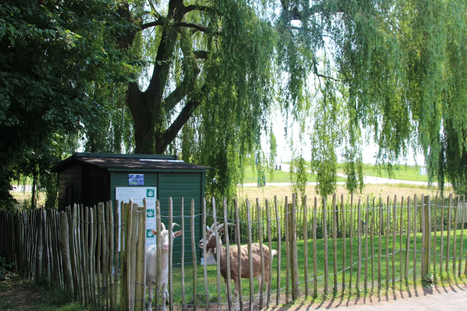 6 pers Welness huis 85-Park facilities