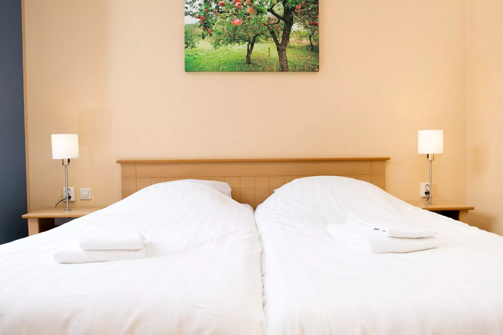 Comfort bungalow – Max 6 personen – nummer 49-Schlafzimmer