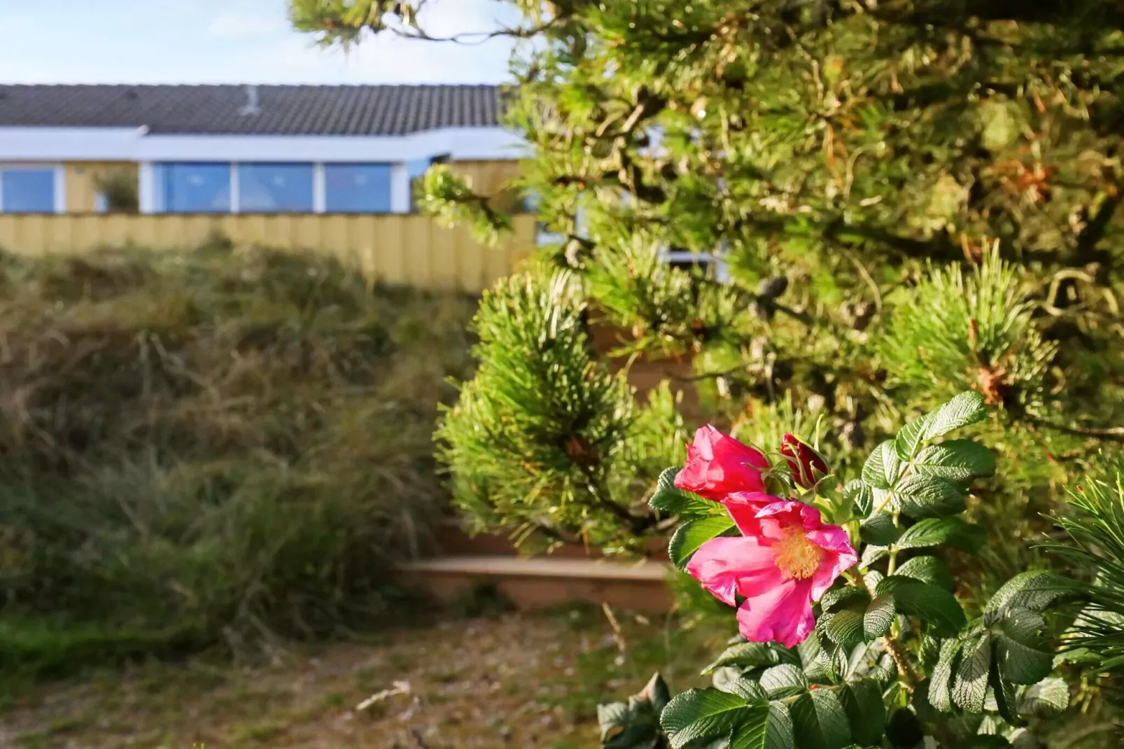 9 person holiday home in Saltum-View