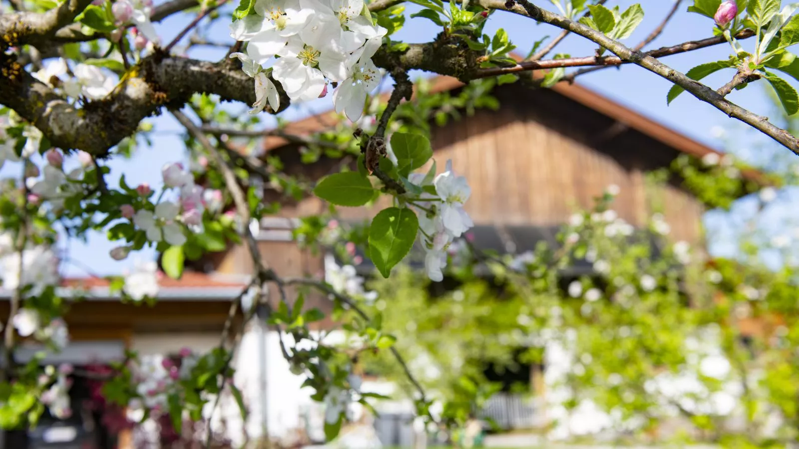 Auszeit am Bauernhof-Atmosphere